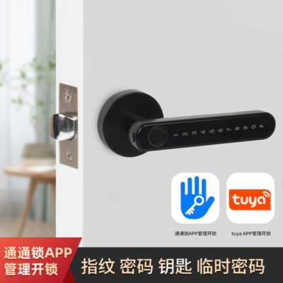 Xuất khẩu Tongtong Vân Tay Thông Minh Mã Khóa Trong Nhà Hộ Gia Đình Cửa Gỗ Khóa Điện Tử Cửa Phòng Ngủ Văn Phòng Bóng Khóa