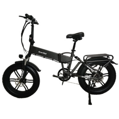 Xe điện tuyết 20 inch bãi biển tuyết xe điện trợ lực điện xe điện gấp tuyết xe đạp điện