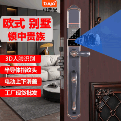 Nhận dạng khuôn mặt 3D khóa thông minh graffiti zigbee nhà thông minh Châu Âu cổ điển khóa mật khẩu biệt thự khóa vân tay