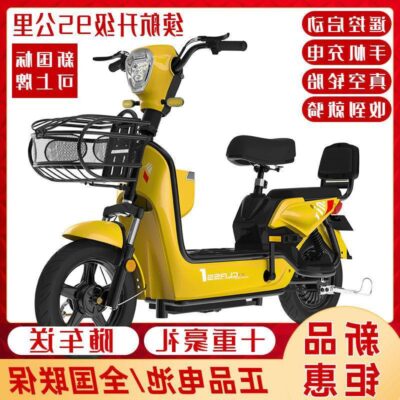 Xe Điện Tiêu Chuẩn Quốc Gia Mới Pin 48V Nhỏ Trợ Lực Xe Đạp Điện Nam Nữ Trưởng Thành Xe Đạp Điện
