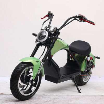 Dalong Yinghao thương hiệu xe Prince 1500W có thể được gắn nhãn hiệu ở Trung Quốc