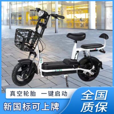 Nhà máy bán buôn tiêu chuẩn quốc gia mới có thể được mang nhãn hiệu xe đạp điện dành cho người lớn nam và nữ du lịch ánh sáng xe chạy pin cha mẹ và con cái