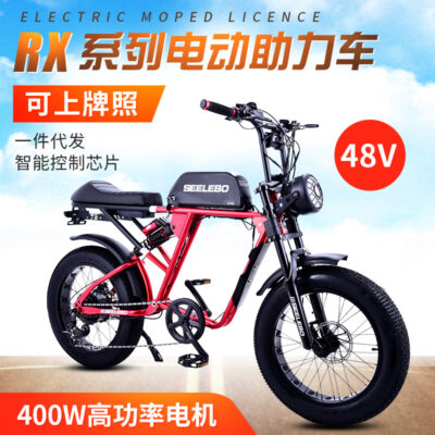 RX Xe Đạp Điện Phẳng Thay Thế Retro Xe Điện Tuyết Xe Địa Hình Nam Nữ 48V Trợ Lực Xe Đạp