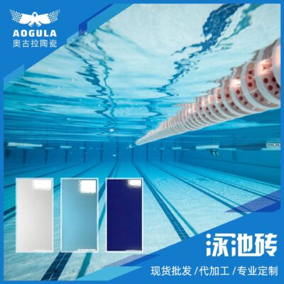 Gạch hồ bơi Phật Sơn sỉ 240*115 244*119 tiêu chuẩn Châu Âu gạch hồ bơi kỹ thuật khách sạn lát sàn