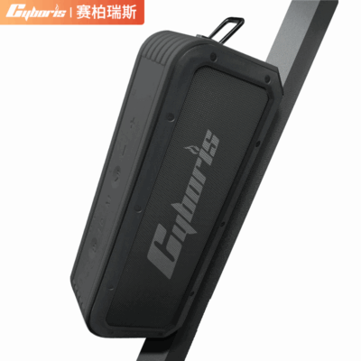 Cyboris 2023 mẫu tư nhân mới golf hút từ tính công suất cao loa bluetooth không dây 40w NFC nhà vệ sinh ngoài trời