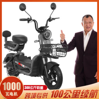 Yadi Emma cùng xe máy điện nhỏ 72v xe điện người lớn 60v hai bánh xe đạp điện đôi xe ắc quy