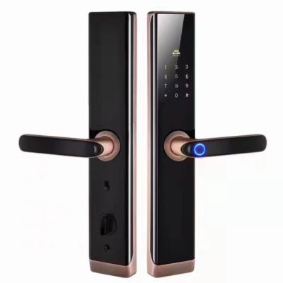 Khóa vân tay đặc biệt Wang Lipan Panbuyang cửa chống trộm không mở lỗ khóa nhà thông minh khóa mật mã vân tay khóa chống trộm
