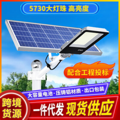 Đèn đường năng lượng mặt trời 6 mét ngoài trời không thấm nước sân nông thôn mới công suất cao mô hình kỹ thuật LED chiếu sáng đèn đường bán buôn