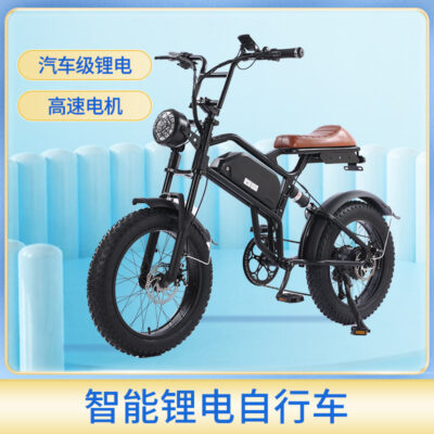 Retro Pin Lithium Xe Đạp Địa Hình Xe Máy Tuyết Mỡ Lốp Tốc Độ Biến Đổi Xe Đạp Điện Bán Buôn