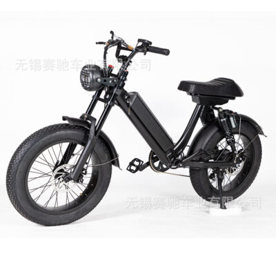 Nhà máy nguồn 20 inch 48V1000W có thể thêm APP lốp béo tuyết hỗ trợ xe đạp xe đạp leo núi