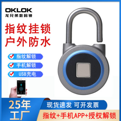 Nhà máy sản xuất trực tiếp khóa vân tay Bluetooth APP quản lý lưu trữ tài sản khóa tròn hàng rào chống trộm cửa khóa móc điện tử