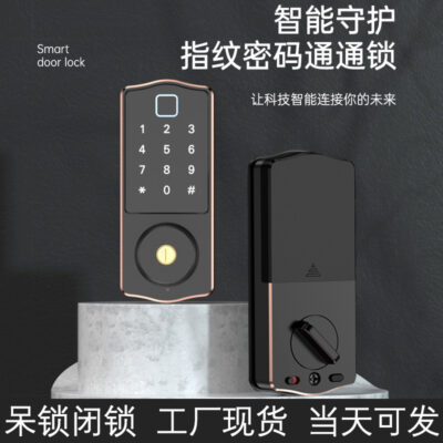 Ngoại thương Xuất khẩu mật khẩu vân tay khóa điện tử TTLOCK khóa thông minh APP Tuya điều khiển từ xa khóa  thông qua khóa