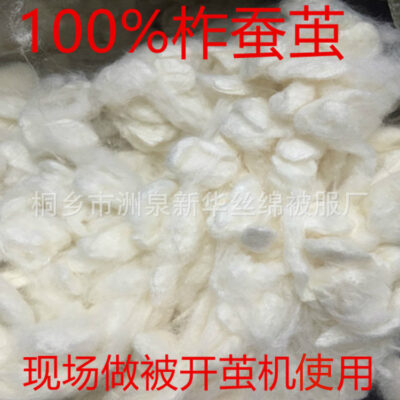 Nguyên liệu thô kén Tussah bán buôn lụa tussah tinh chế kén khô tại chỗ máy mở kén với nguyên liệu chăn lụa lớn sạch