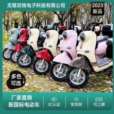 Tiêu chuẩn quốc gia mới xe điện xe điện mới ắc quy xe điện xe máy nam nữ trưởng thành đạp xe điện