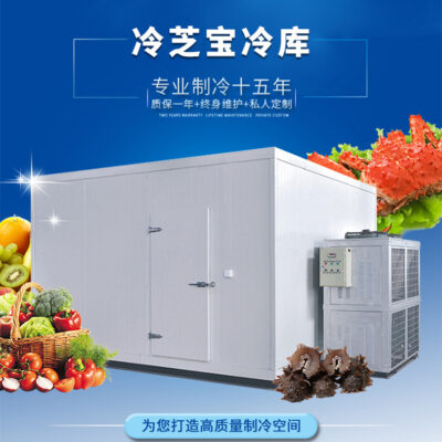 Kho lạnh nhỏ Kho lạnh vừa và lớn Kho lạnh di động Kho lạnh rời