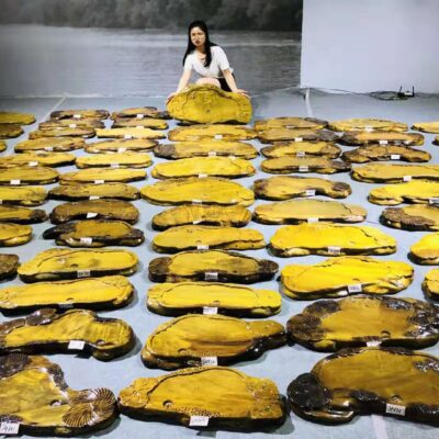 Toàn bộ miếng vàng khay trà nanmu đăng nhập nhà gỗ nguyên khối trà biển khay nhỏ đơn giản kung fu trà gốc khắc bàn trà