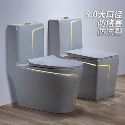 Cung điện màu sắc nhà vệ sinh hộ gia đình sáng tạo gốm xi phông siêu xoáy bơm khử mùi câm dính liền bồn cầu lớn