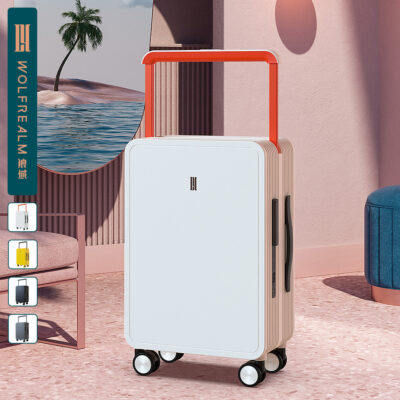 Wolf domain wide xe đẩy bán buôn lên máy bay 20 inch của phụ nữ bánh xe đa năng vali có giá trị cao hành lý đại lý kinh doanh