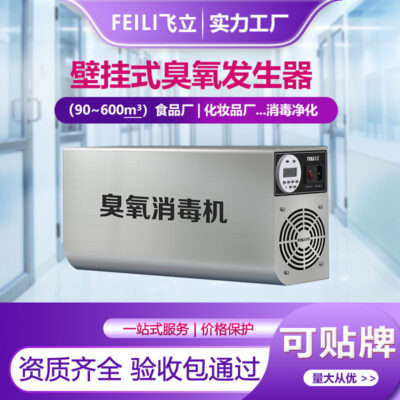 Xưởng làm sạch Feili Máy khử trùng lọc không khí xung quanh Khử trùng hiệu quả Máy tạo Ozone treo tường Bán buôn