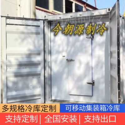 Công-te-nơ đã sửa đổi đã qua sử dụng tùy chỉnh kho lạnh di động nâng thiết bị cách nhiệt tủ lạnh thịt làm lạnh xe