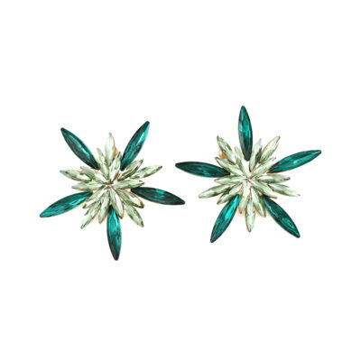 Xuyên biên giới phóng đại Giáng sinh siêu bông tai bông tuyết lớn thiết kế cảm giác bông tai hoa đính đá cho nữ