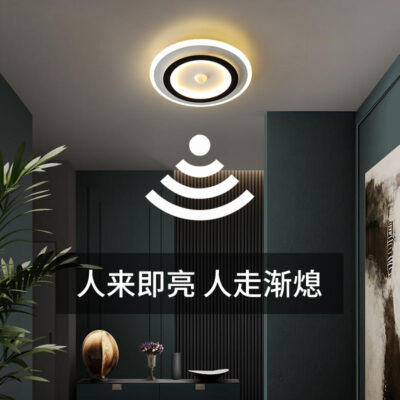Cơ thể con người mới cảm biến ánh sáng lối đi hành lang ánh sáng lối vào hội trường trần đơn giản hiện đại cloakroom hiên nhà đèn LED