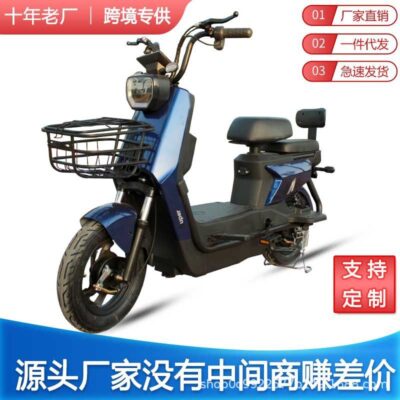 Đi xe đạp điện ắc quy xe đạp xe Lâm Nghi ngoại thương điện hỗ trợ xe đạp người lớn nhỏ xe đạp điện đôi