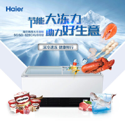 Tủ lạnh Haier thương mại tủ đông đứng cánh kính dung tích lớn tủ lạnh cấp đông kho lạnh thiết bị bếp khách sạn