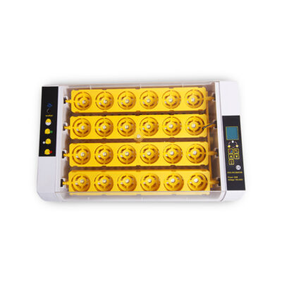 Máy ấp trứng thông minh hộ gia đình tự động HHD xuyên biên giới 24 miếng lồng ấp trứng gia cầm một nút