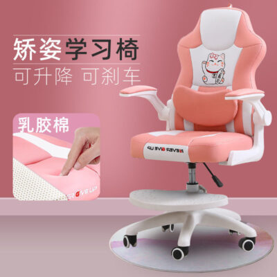 Ghế học tập cho trẻ em ghế học sinh tiểu học tại nhà chỉnh sửa tư thế ngồi có thể điều chỉnh nâng ghế máy tính trẻ em viết ghế