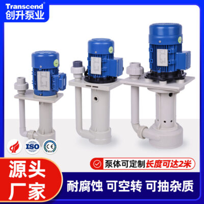 Chuangsheng có thể nhàn rỗi phun bảo vệ môi trường rửa axit mạ điện bơm axit clohydric dọc chống ăn mòn nhựa PP bơm chất lỏng bơm axit