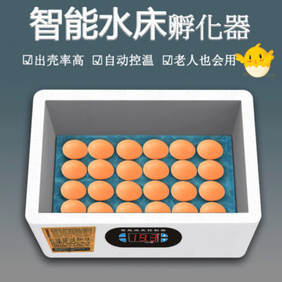 Lồng Ấp Thông Minh Nước Nhỏ Giường Lồng Ấp Hộ Gia Đình Mini Tự Động Gà Vịt Ngỗng Lồng Ấp