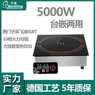 Thương Mại Cảm Ứng 5000W Máy Bay Cao Cấp Điện Từ Căng Tin Nhà Hàng Khách Sạn Nhà Hàng Nhúng Lửa Nồi Hơi
