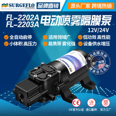 Nhà Máy Bán Hàng Trực Tiếp 12V/24V Micro Màng Bơm Xe Ô Tô Máy Rửa Xe Tăng Áp Bơm Màng Điện Bơm Phun