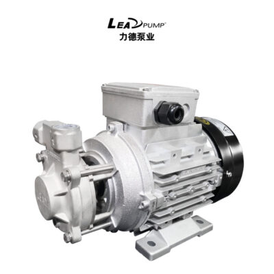 LEADPUMP máy bơm nước áp lực cao đốt bơm dầu metanol bơm LP125 Lide Pump Industry