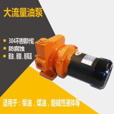 Nhà máy bán hàng trực tiếp bơm dầu 12v24v220V bơm diesel lưu lượng lớn bơm xăng bơm dầu bơm dầu điện