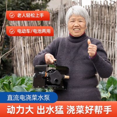 Sạc công suất cao lĩnh vực tưới rau hiện vật xe điện máy bơm nước tưới tiêu nông nghiệp 48V DC máy bơm nước