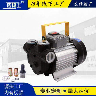 Nhà sản xuất máy bơm diesel công suất cao 550w máy bơm dầu diesel tự mồi máy bơm dầu di động máy bơm diesel