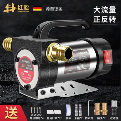 Bơm dầu điện nhỏ 12V24V220V diesel tàu chở dầu trước và ngược bơm dầu tự mồi bơm dầu bơm