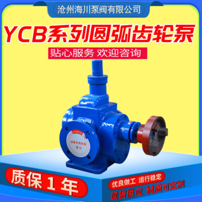 Điện YCB vòng cung bơm bánh răng dầu bôi trơn gang chuyển bơm hóa chất ngang dòng chảy lớn tăng áp bơm tự mồi