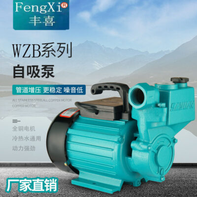 Máy bơm tự mồi WZB trực tiếp tại nhà máy Máy bơm nước giếng 220V có lực nâng cao và lưu lượng lớn