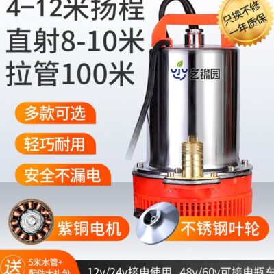 DC Máy Bơm Chìm 12V48v 60 Volt Điện Áp Thấp Hộ Gia Đình Nhỏ Pin 1 Inch Máy Bơm Nước Nông Nghiệp Tưới Cây Rau Bơm