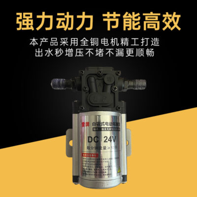 Máy bơm nước công suất cao tắm ô tô Máy bơm rửa xe 12v24v hỗn hợp máy bơm nước dầu sửa đổi phiên bản mới của máy bơm nước mỏ