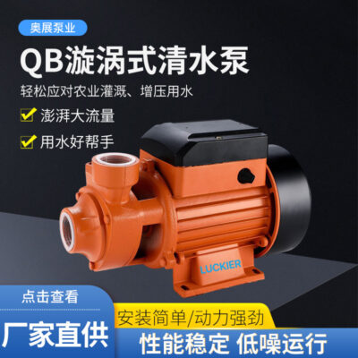 Thương mại nước ngoài QB607080 máy bơm ly tâm máy bơm nước tự mồi hộ gia đình nhỏ xoáy máy bơm ly tâm nước máy bơm tăng áp