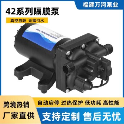 110V220V AC Màng Bơm 15 Lít Xịt Tưới Vệ Sinh Bơm Nước RV Tăng Áp Bơm Cấp Nước