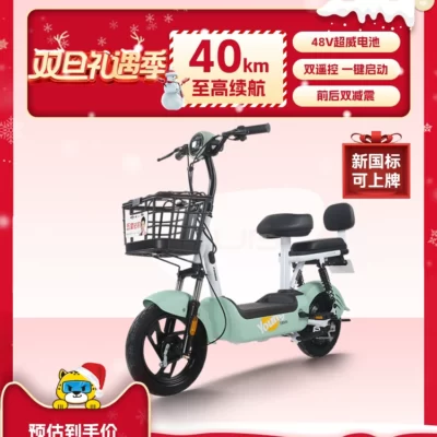 Báo kim cương năm sao tiêu chuẩn quốc gia mới 48V12AH pin xe 40KM độ bền xe đạp điện L3