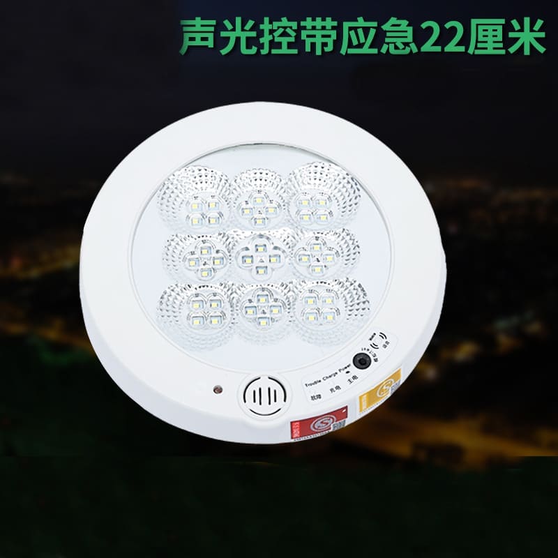 Hành lang hành lang tầng hầm LED cơ thể con người cảm ứng - DTN-844