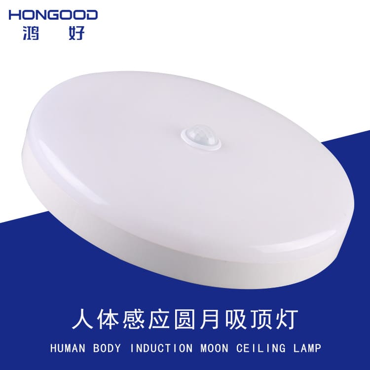 Đèn cảm biến hồng ngoại cơ thể người, radar điều khiển âm - DTN-967