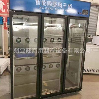 Tủ sấy không khí vịt quay tùy chỉnh tủ sấy cao cấp, tiện lợi cho nhà hàng TST TSTP-356
