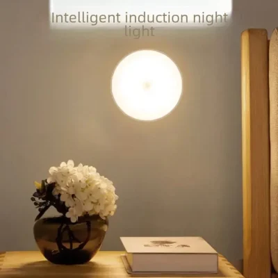 Đèn Cơ Thể Con Người Cảm Ứng Nhỏ Đèn Ngủ Thanh Dài Đèn Ngủ - DTN-368